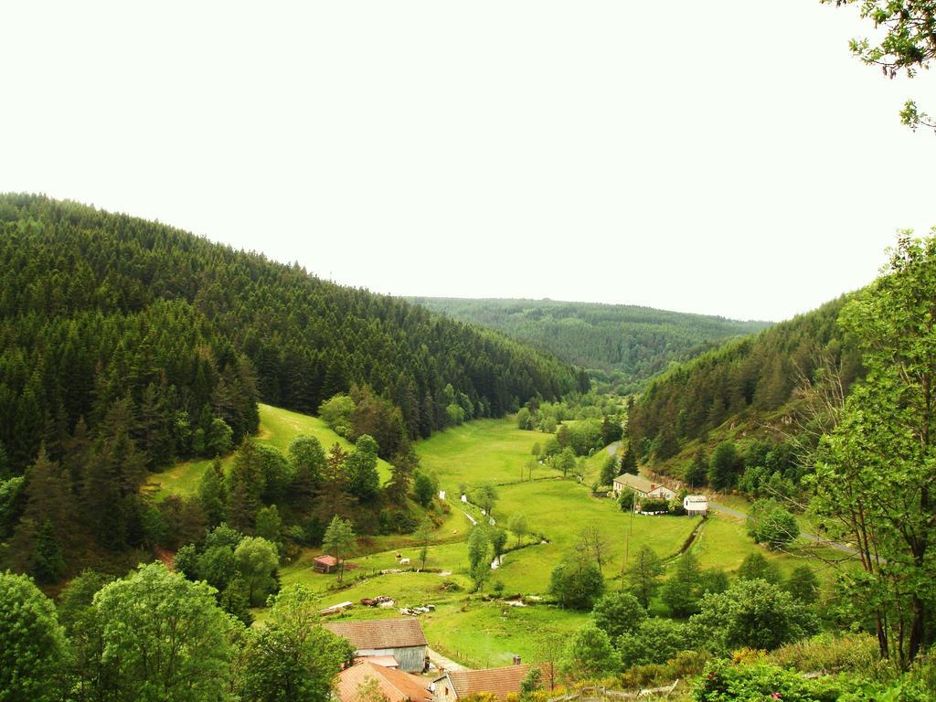 Bed and Breakfast La Maison D'En Haut Saint-Julien-Molhesabate Zimmer foto